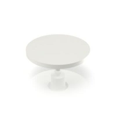 RAFI RACON Series Plunger [5.46.168.043/0209]; 271-9224