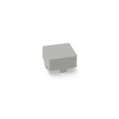RAFI Push Button Lens for Use with Push Buttons [5.46.651.019/1002]; 271-9234