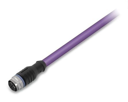 WAGO Straight Female 5 way M12 to Unterminated Actuator/Sensor Cable, 2m [756-1101/060-020]; 279-3183