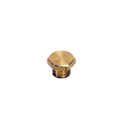 Legris G 1/4 Brass Tubing Plug [0200 13 00]; 281-3327