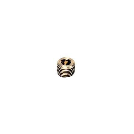 Legris NPT 1/8 Male Brass Tubing Plug [0205 11 00]; 281-3334
