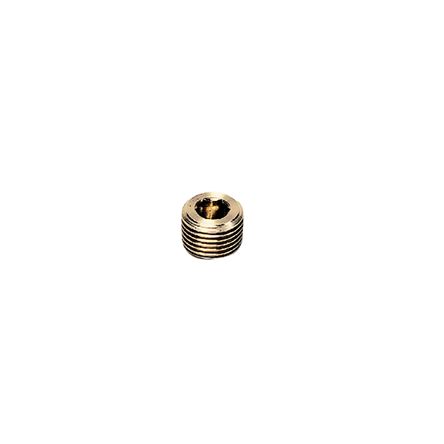 Legris R 1 Male Brass Tubing Plug [0205 34 00]; 281-3336