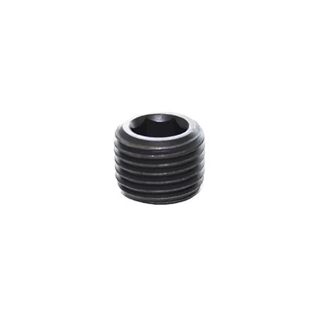 Legris NPT 1/16 Male Steel Tubing Plug [0206 08 00]; 281-3337