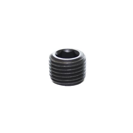 Legris NPT 1/8 Male Blanking Plug [0206 11 00]; 281-6970