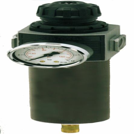 SAM 19876 Filter Regulator, 1/2 in, Automatic, 14 bar [19876]; 282-8238