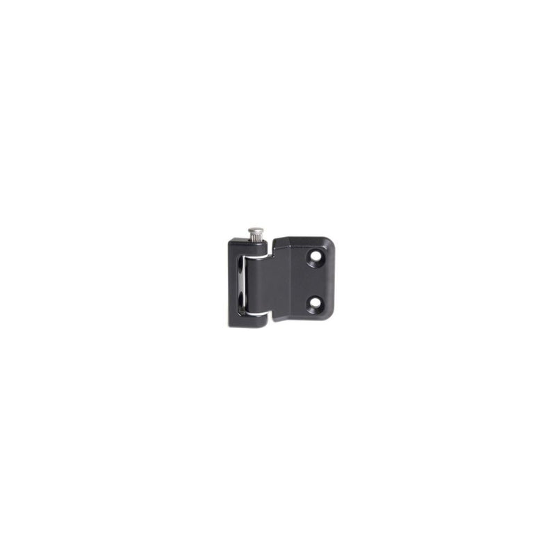 SOUTHCO Surface Mount Hinge [EH-6C-5V4-50]