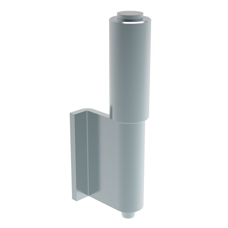 SOUTHCO Removable Concealed Hinge, Concealed Assembly, Steel, Blue Zinc [F6-DHIW-8040]