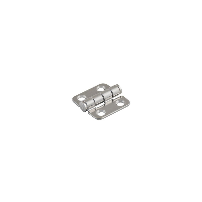 SOUTHCO Hinge, Small Leaf, Small Leaf, 38 mm (1.50 in) Long, 304 Stainless Steel, Passivated [N6-4E-422-20]