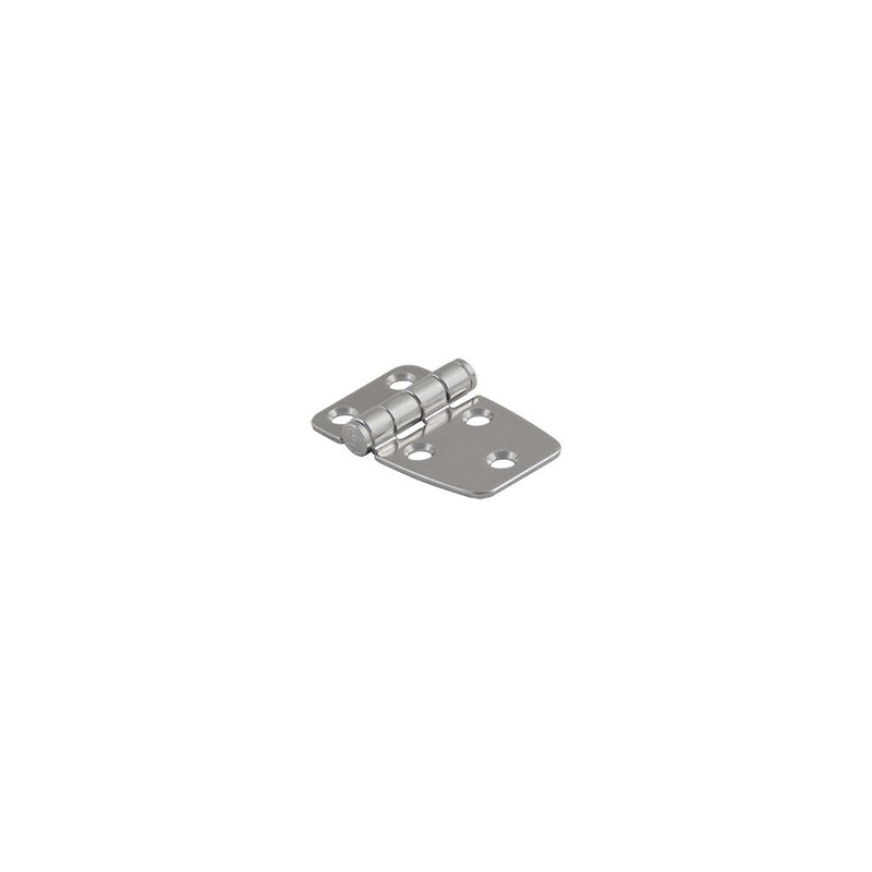 SOUTHCO Hinge, Small Leaf, Medium Leaf, 38 mm (1.50 in) Long, 304 Stainless Steel, Passivated [N6-4E-424-20]