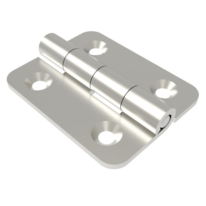 SOUTHCO Surface Mount Hinge, 100 mm size, with Mounting CSK Holes, Stainless Steel, Electro polished [N6-DHIM-10080-SS]