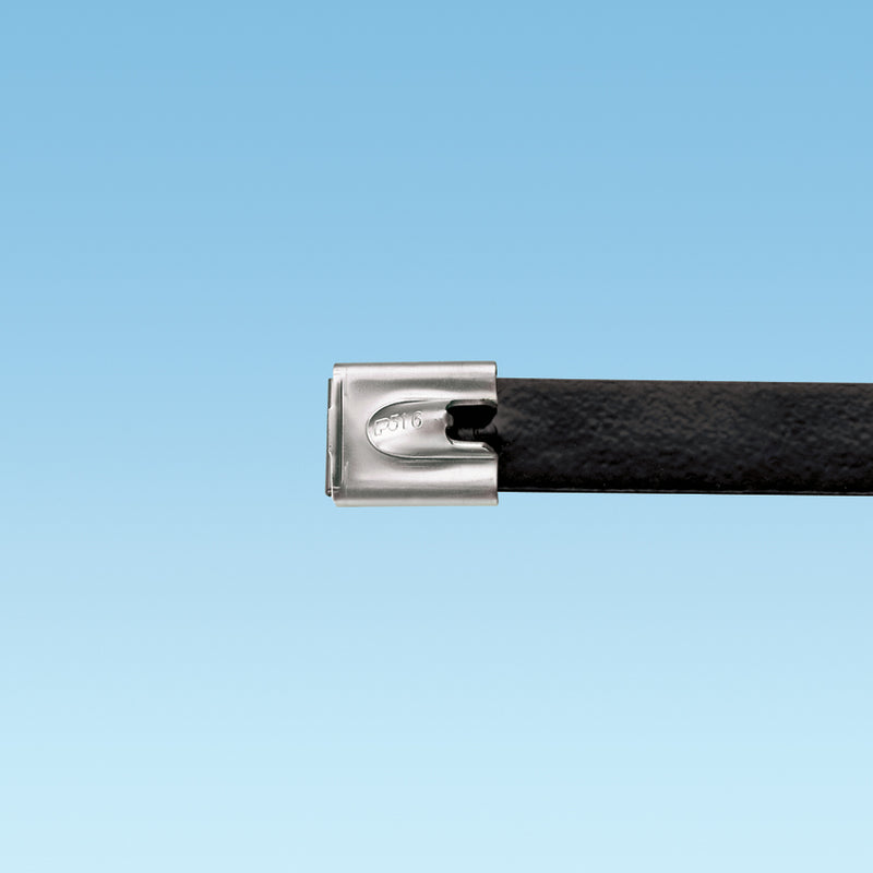 Dây rút Panduit 754mm x 16mm Black [MLTFC8SH-LP316]