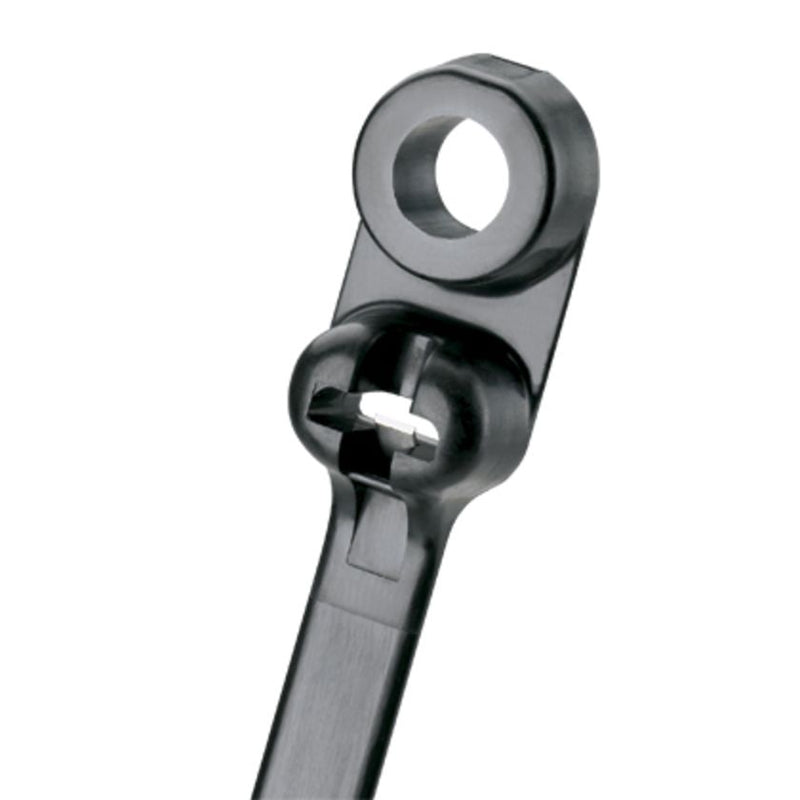 Dây rút Panduit 216mm x 4.7mm Black [BC2S-S10-D0]