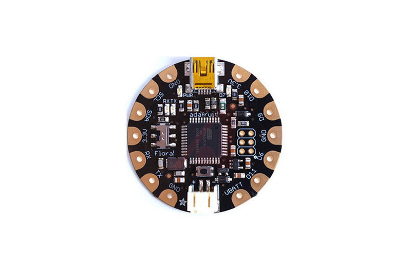 FLoRa - Wearable Electronic Platform,659