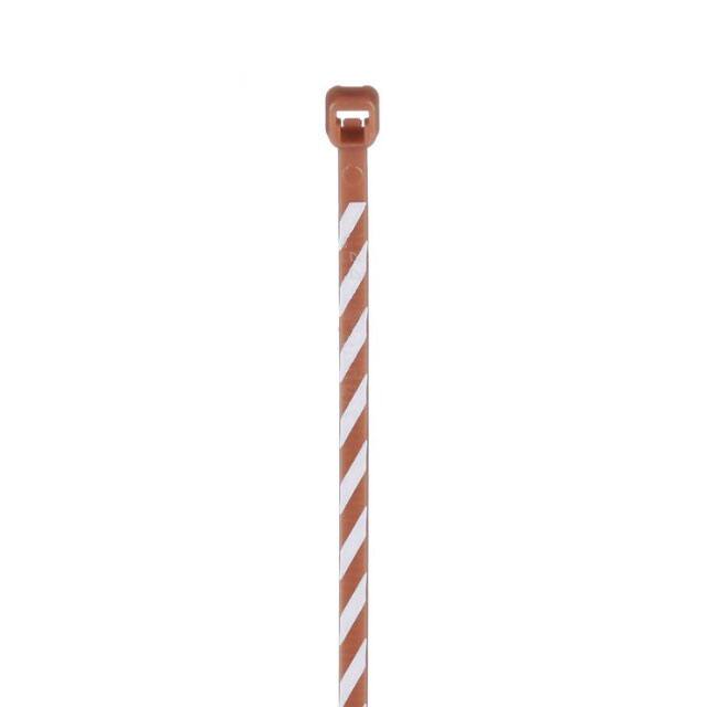 Dây rút Panduit 102mm x 2.5mm Brown, White Stripe [PLT1M-L1-10]