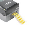 Panduit H200X044HGT-2