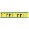 Panduit PCL100-P