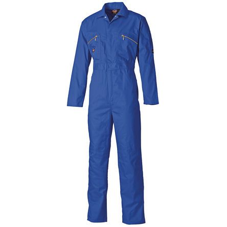 Dickies WD4839 RB 36R 754139