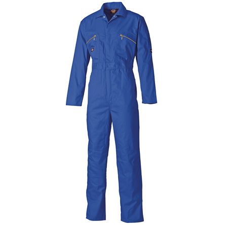 Dickies WD4839  RB 40R 754151