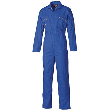 Dickies WD4839  RB 46R 754189