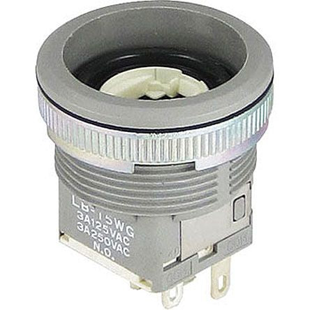 NKK Switches LB15WGW01 1251672