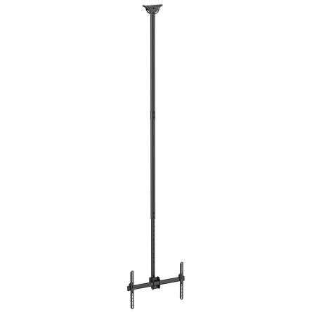 Startech FPCEILPTBLP 1861706