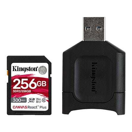 Kingston MLPR2/256GB 2035406