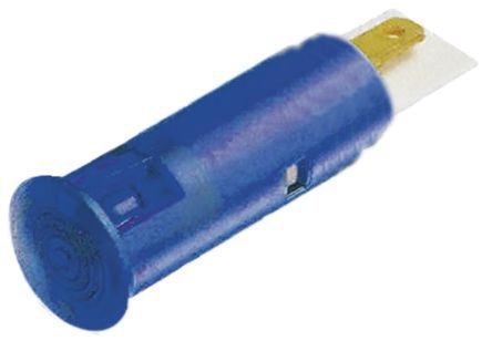 Signal Construct SKGD06404 3693352
