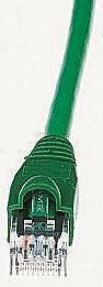Brand-Rex GPCPCU010-555HB 3871063