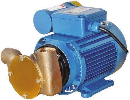 Xylem Jabsco 53020-2013 7059374