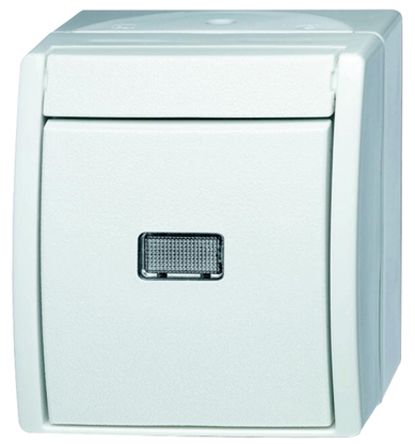 Busch Jaeger - ABB 2621 WGL-54 7903212
