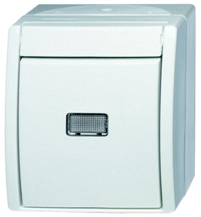 Busch Jaeger - ABB 2601/6 WGL-54 7903218
