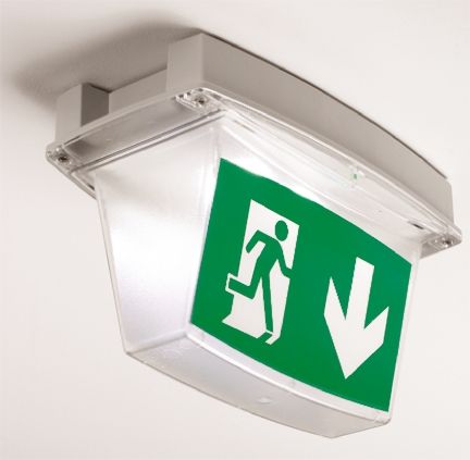Crompton Lighting IP65DBLLEG 7959338