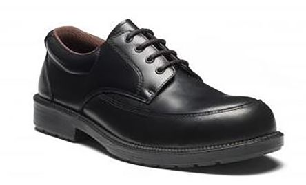 Dickies FA12365A Sz6 1445962