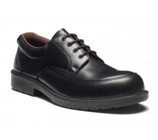 Dickies FA12365A Sz10 1445966