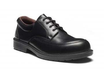 Dickies FA12365A Sz12 1445968