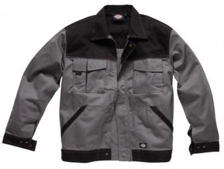 Dickies IN30010 GYB M 1719965