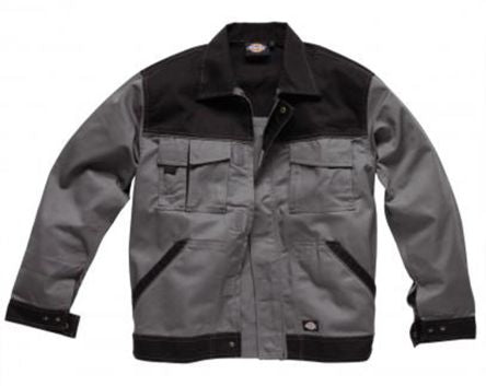 Dickies IN30010 GYB L 1719966
