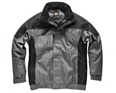 Dickies IN30060 GYB L 1719996