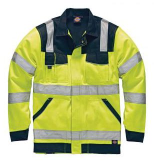 Dickies SA30015 YLN L 1720017