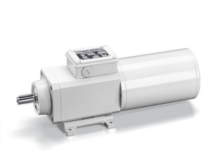 Mini Motor PAF4T2-14.12-B3 1817018