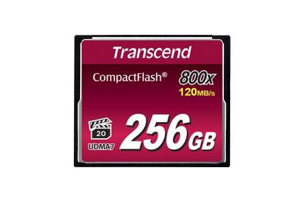 Transcend TS256GCF800 1871653