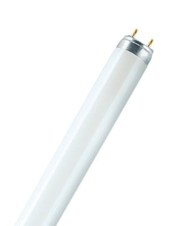 Osram 4058075024779 1901891