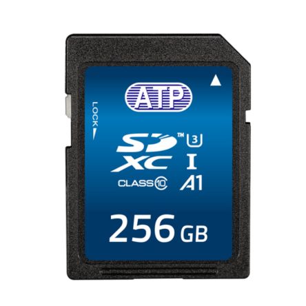 ATP AF256GSD4-BBAIM 2069184