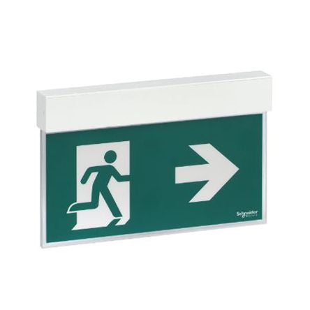 Schneider Electric OVA38250 2091388