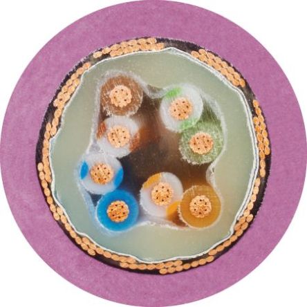 Igus CFBUS.040 (50m) 2100500