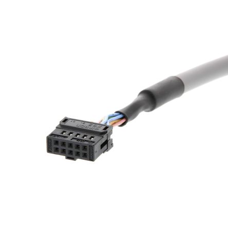 Omron P2RV-A100C 2151604
