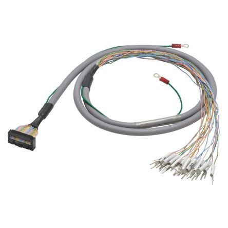 Omron XW2Z-RY100C 2153529