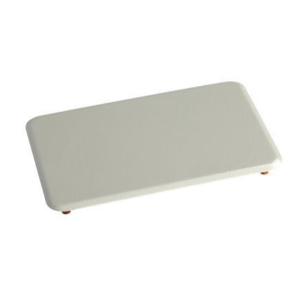 Schneider Electric NSYRP2 2199741